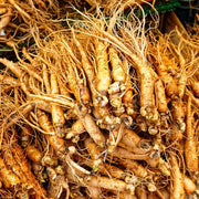 INDIAN GINSENG