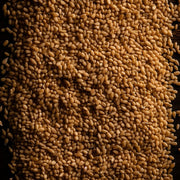 SESAME OIL